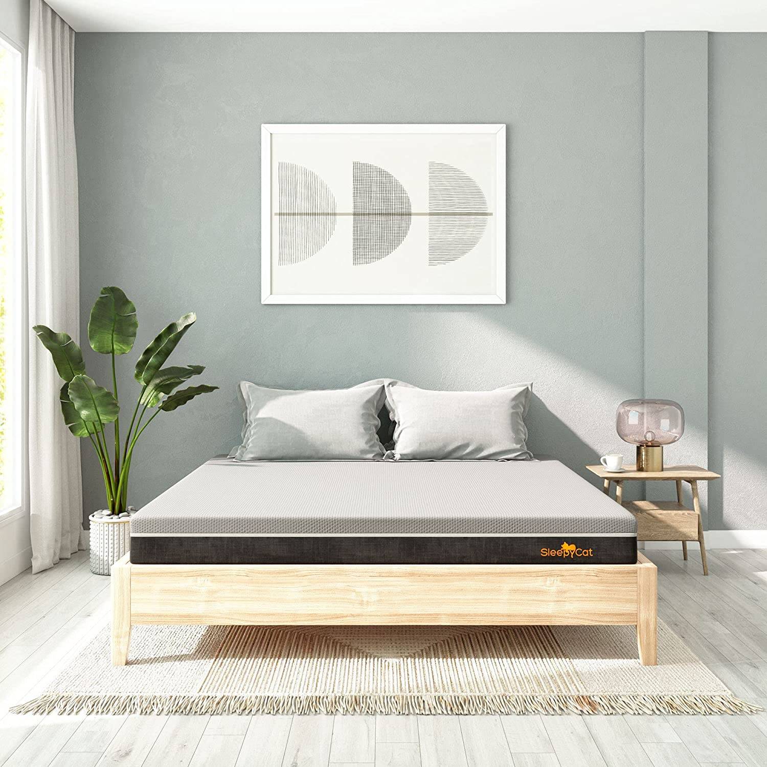 SleepyCat Latex Mattress