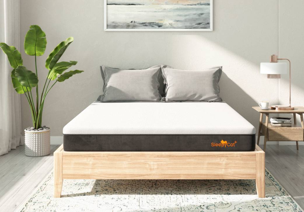 sleepycat plus mattress