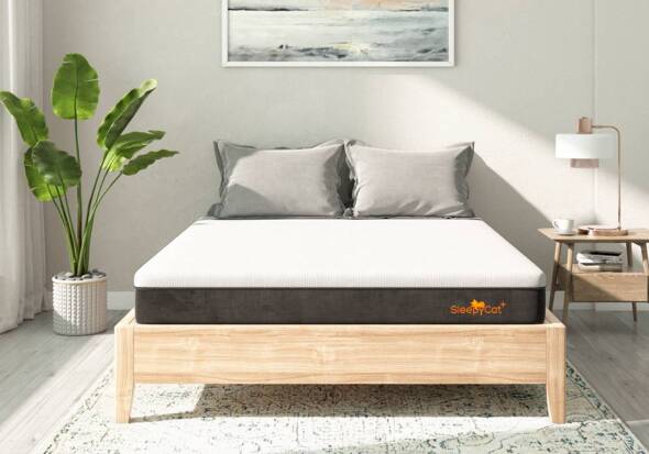 sleepycat mattress review quora